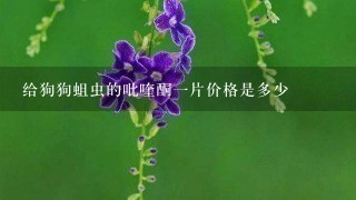 给狗狗蛆虫的吡喹酮1片价格是多少 给狗狗蛆虫的吡喹酮1片价格是多少