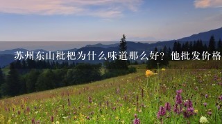 苏州东山枇杷为什么味道那么好?他批发价格怎样 苏州东山枇杷为什么味道那么好?他批发价格怎样