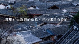 哪里有知道獾的价格?还有哪里有收的? 哪里有知道獾的价格?还有哪里有收的?