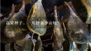 高粱种子,1斤种多少亩地? 高粱种子,1斤种多少亩地?