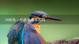 16块钱1斤香油是真的吗 16块钱1斤香油是真的吗