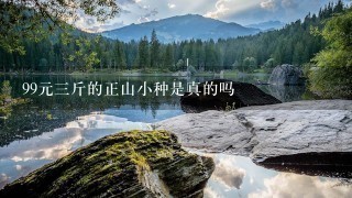 99元3斤的正山小种是真的吗 99元3斤的正山小种是真的吗