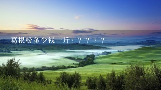 葛根粉多少钱1斤????? 葛根粉多少钱1斤?????