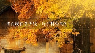 猪肉现在多少钱1斤?排骨呢? 猪肉现在多少钱1斤?排骨呢?