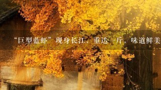 “巨型蓝虾”现身长江,重达1斤,味道鲜美,会取代 “巨型蓝虾”现身长江,重达1斤,味道鲜美,会取代