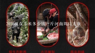 2016现在玉米多少钱1斤河南周口太康 2016现在玉米多少钱1斤河南周口太康