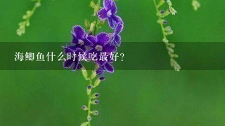 海鲫鱼什么时候吃最好? 海鲫鱼什么时候吃最好?