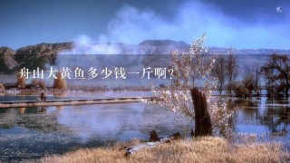 舟山大黄鱼多少钱1斤啊? 舟山大黄鱼多少钱1斤啊?