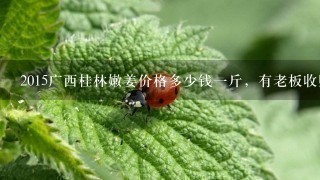 2015广西桂林嫩姜价格多少钱1斤,有老板收购吗?希望有老板来我们资源县收购,有大量嫩姜开始上市 2015广西桂林嫩姜价格多少钱1斤,有老板收购吗?希望有老板来我们资源县收购,有大量嫩姜开始上市