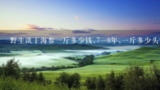 野生淡干海参1斤多少钱,718年,1斤多少头? 野生淡干海参1斤多少钱,718年,1斤多少头?