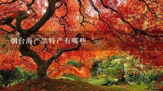 烟台海产品特产有哪些 烟台海产品特产有哪些