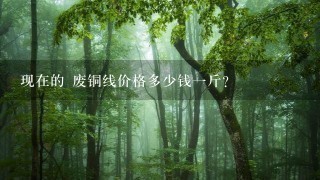 现在的 废铜线价格多少钱1斤? 现在的 废铜线价格多少钱1斤?