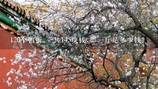 120个鸭蛋,1共145块钱,那1斤是多少钱? 120个鸭蛋,1共145块钱,那1斤是多少钱?