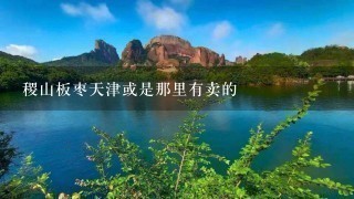 稷山板枣天津或是那里有卖的 稷山板枣天津或是那里有卖的