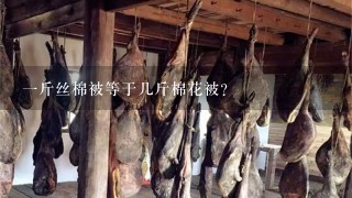 1斤丝棉被等于几斤棉花被? 1斤丝棉被等于几斤棉花被?