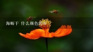 海蛎干 什么颜色的好 海蛎干 什么颜色的好