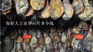你好人工虫草1斤多少钱 你好人工虫草1斤多少钱