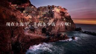 现在上海牛、羊肉多少钱1斤啊? 现在上海牛、羊肉多少钱1斤啊?