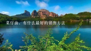 菜仔油,有什么最好的销售方法 菜仔油,有什么最好的销售方法