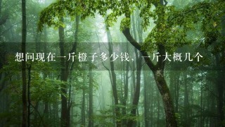 想问现在1斤橙子多少钱,1斤大概几个 想问现在1斤橙子多少钱,1斤大概几个