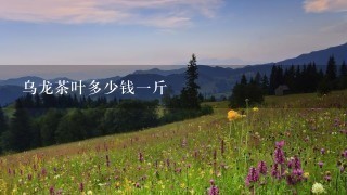 乌龙茶叶多少钱1斤 乌龙茶叶多少钱1斤