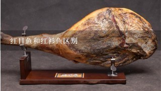 红目鱼和红衫鱼区别 红目鱼和红衫鱼区别