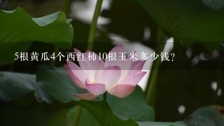 5根黄瓜4个西红柿10根玉米多少钱? 5根黄瓜4个西红柿10根玉米多少钱?