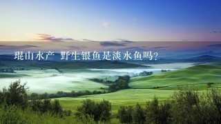 琨山水产 野生银鱼是淡水鱼吗? 琨山水产 野生银鱼是淡水鱼吗?