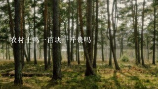 农村土鸭1百块1斤贵吗 农村土鸭1百块1斤贵吗