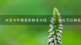 河北今年棉花价格多少钱1斤?国庆节后棉花价格涨还是跌? 河北今年棉花价格多少钱1斤?国庆节后棉花价格涨还是跌?