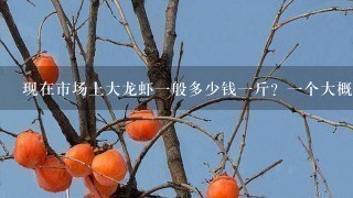 现在市场上大龙虾1般多少钱1斤?1个大概几斤呢? 现在市场上大龙虾1般多少钱1斤?1个大概几斤呢?