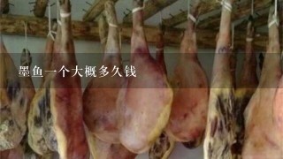 墨鱼1个大概多久钱 墨鱼1个大概多久钱