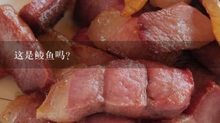 这是鲮鱼吗? 这是鲮鱼吗?