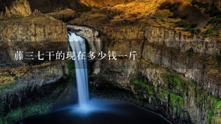 藤37干的现在多少钱1斤 藤37干的现在多少钱1斤