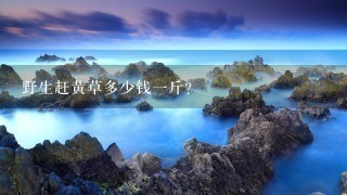 野生赶黄草多少钱1斤? 野生赶黄草多少钱1斤?