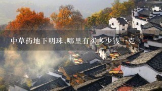 中草药地下明珠,哪里有买多少钱1克 中草药地下明珠,哪里有买多少钱1克