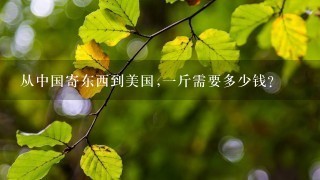 从中国寄东西到美国,1斤需要多少钱? 从中国寄东西到美国,1斤需要多少钱?