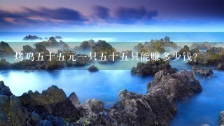 烤鸡5十5元1只5十5只能赚多少钱? 烤鸡5十5元1只5十5只能赚多少钱?
