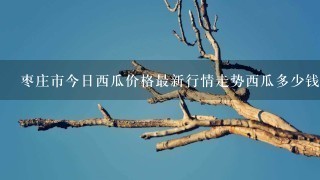 枣庄市今日西瓜价格最新行情走势西瓜多少钱1斤呀? 枣庄市今日西瓜价格最新行情走势西瓜多少钱1斤呀?