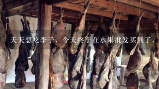 天天想吃李子,今天终于在水果批发买到了,可1斤要20元,这1点就28元,真的感觉吃不起 天天想吃李子,今天终于在水果批发买到了,可1斤要20元,这1点就28元,真的感觉吃不起