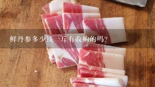 鲜丹参多少钱1斤有收购的吗? 鲜丹参多少钱1斤有收购的吗?