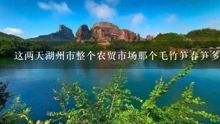 这两天湖州市整个农贸市场那个毛竹笋春笋多少钱1斤 这两天湖州市整个农贸市场那个毛竹笋春笋多少钱1斤