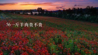 561斤羊肉贵不贵 561斤羊肉贵不贵