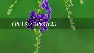 棯子酒用多少度酒浸合适? 棯子酒用多少度酒浸合适?