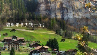 碧根果多少钱1斤? 碧根果多少钱1斤?