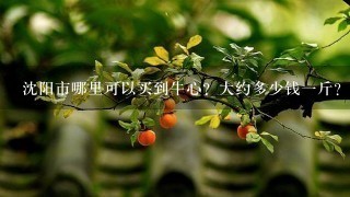 沈阳市哪里可以买到牛心?大约多少钱1斤? 沈阳市哪里可以买到牛心?大约多少钱1斤?