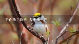 干玫瑰花价格 多少钱1斤 干玫瑰花价格 多少钱1斤