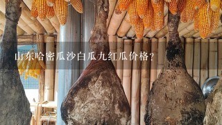 山东哈密瓜沙白瓜9红瓜价格? 山东哈密瓜沙白瓜9红瓜价格?