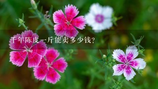 千年陈皮1斤能卖多少钱? 千年陈皮1斤能卖多少钱?
