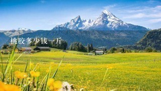 桃胶多少钱1斤 桃胶多少钱1斤